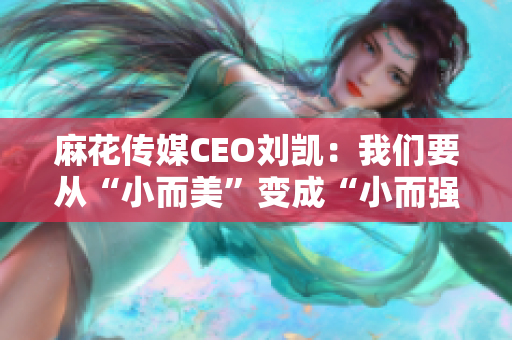 麻花传媒CEO刘凯：我们要从“小而美”变成“小而强”！