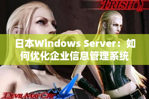 日本Windows Server：如何优化企业信息管理系统