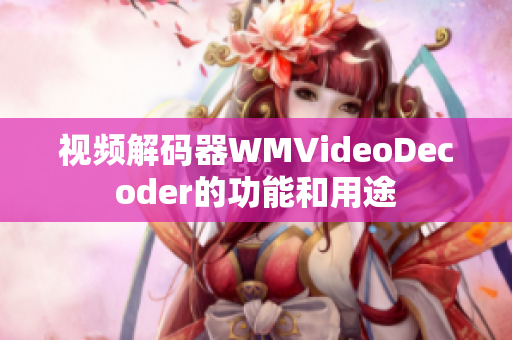 视频解码器WMVideoDecoder的功能和用途