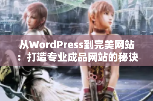 从WordPress到完美网站：打造专业成品网站的秘诀