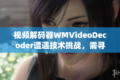 视频解码器WMVideoDecoder遭遇技术挑战，需寻求创新解决方案(1)