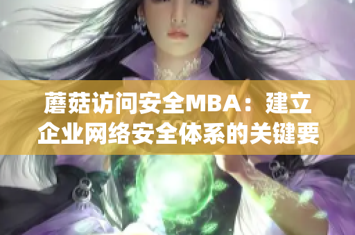 蘑菇访问安全MBA：建立企业网络安全体系的关键要素(1)