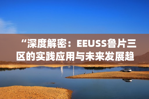 “深度解密：EEUSS鲁片三区的实践应用与未来发展趋势分析”(1)