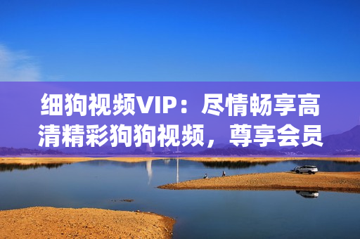 细狗视频VIP：尽情畅享高清精彩狗狗视频，尊享会员专属特权！(1)