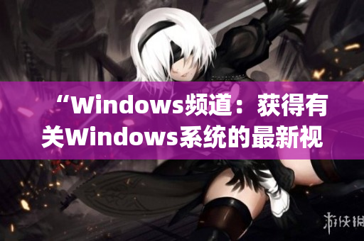 “Windows频道：获得有关Windows系统的最新视频教程”(1)