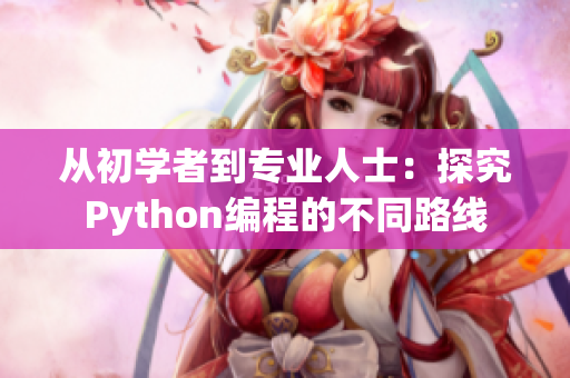 从初学者到专业人士：探究Python编程的不同路线