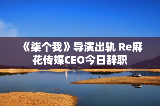 《柒个我》导演出轨 Re麻花传媒CEO今日辞职