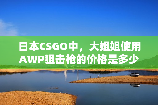 日本CSGO中，大姐姐使用AWP狙击枪的价格是多少？