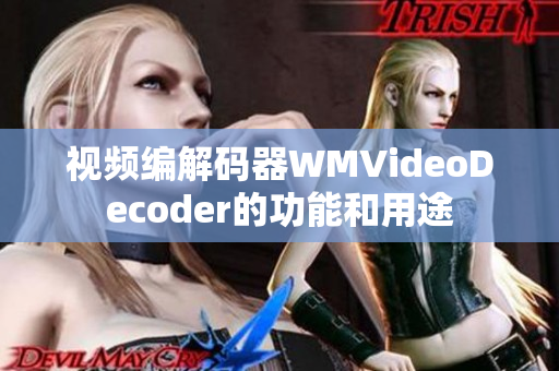 视频编解码器WMVideoDecoder的功能和用途