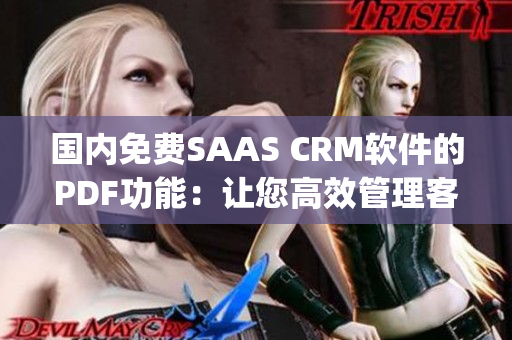 国内免费SAAS CRM软件的PDF功能：让您高效管理客户关系(1)