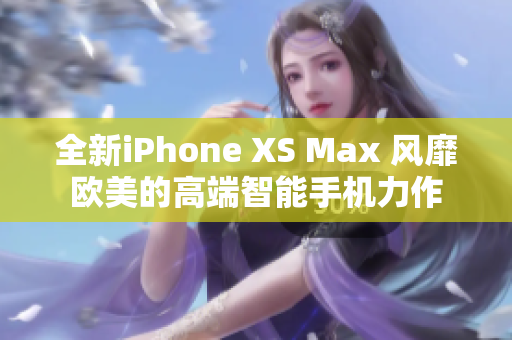 全新iPhone XS Max 风靡欧美的高端智能手机力作