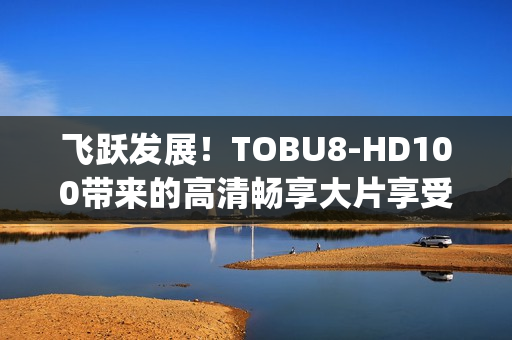 飞跃发展！TOBU8-HD100带来的高清畅享大片享受(1)