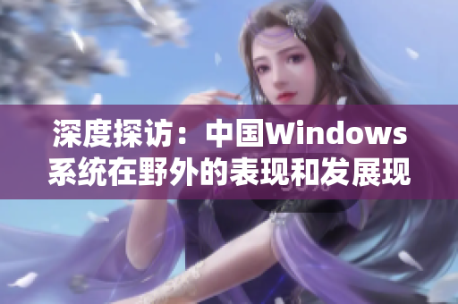 深度探访：中国Windows系统在野外的表现和发展现状