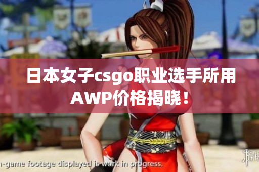 日本女子csgo职业选手所用AWP价格揭晓！