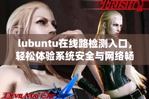 lubuntu在线路检测入口，轻松体验系统安全与网络畅通