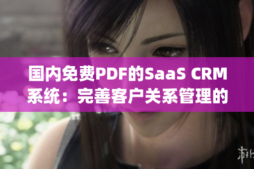 国内免费PDF的SaaS CRM系统：完善客户关系管理的利器(1)