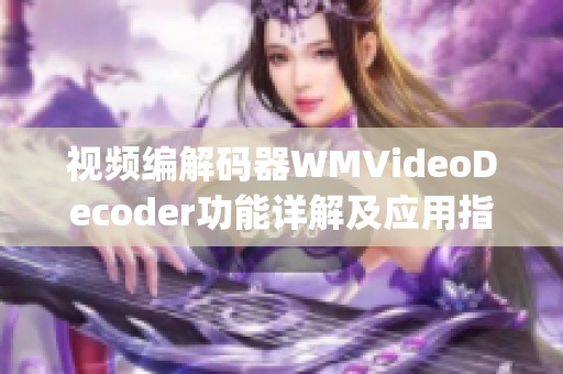 视频编解码器WMVideoDecoder功能详解及应用指南(1)