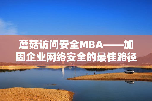 蘑菇访问安全MBA——加固企业网络安全的最佳路径