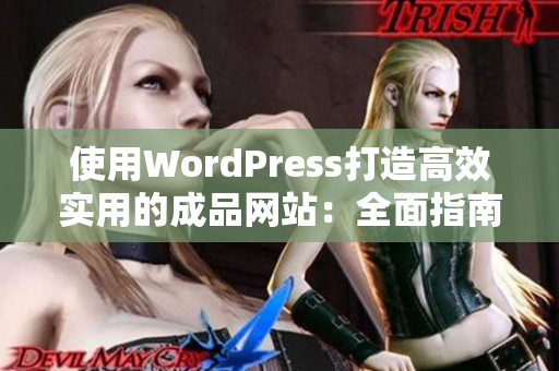 使用WordPress打造高效实用的成品网站：全面指南