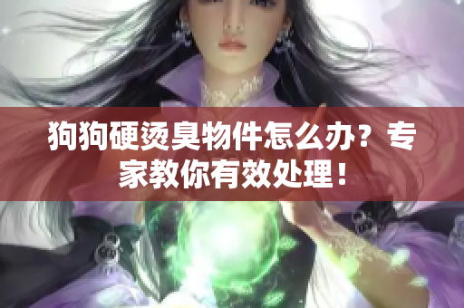 狗狗硬烫臭物件怎么办？专家教你有效处理！