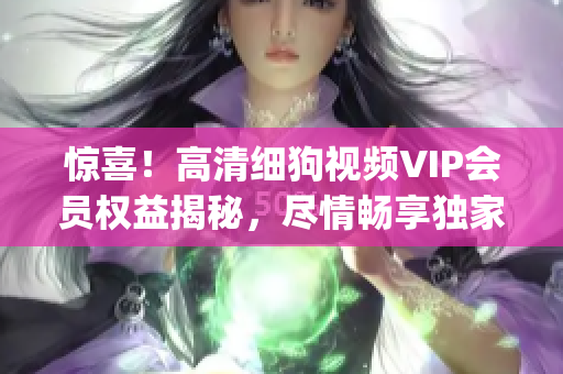 惊喜！高清细狗视频VIP会员权益揭秘，尽情畅享独家精彩内容！(1)