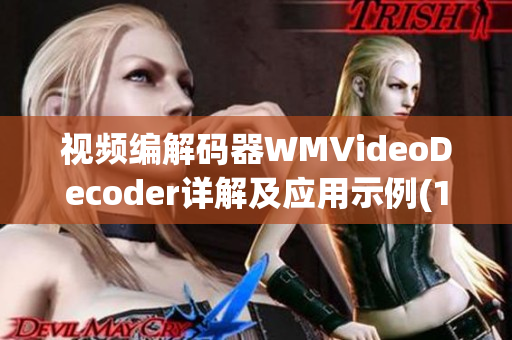 视频编解码器WMVideoDecoder详解及应用示例(1)