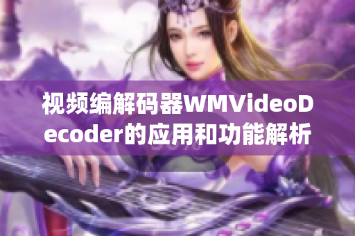 视频编解码器WMVideoDecoder的应用和功能解析(1)