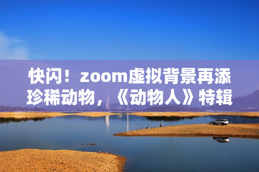 快闪！zoom虚拟背景再添珍稀动物，《动物人》特辑秒杀你的视觉！