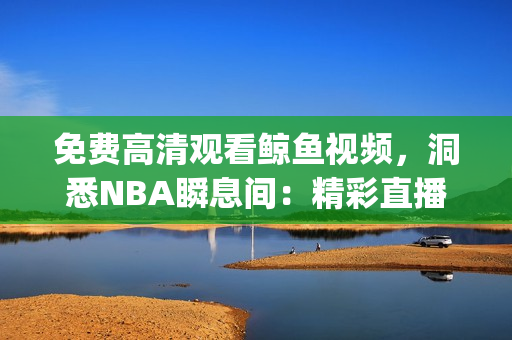 免费高清观看鲸鱼视频，洞悉NBA瞬息间：精彩直播等你观赏(1)