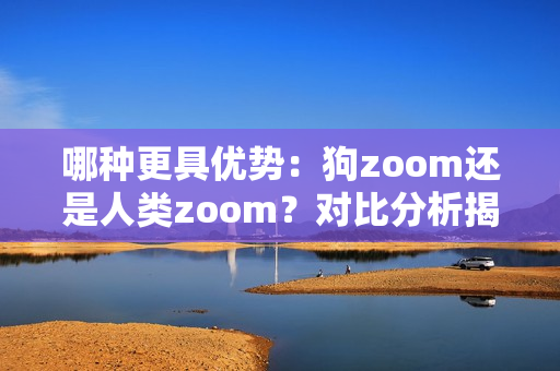 哪种更具优势：狗zoom还是人类zoom？对比分析揭示答案