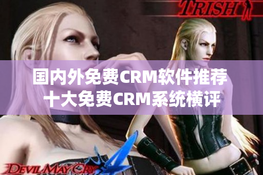 国内外免费CRM软件推荐 十大免费CRM系统横评