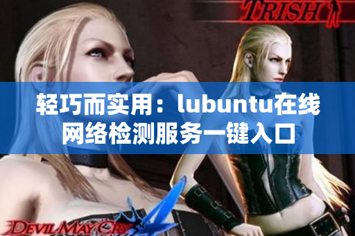 轻巧而实用：lubuntu在线网络检测服务一键入口