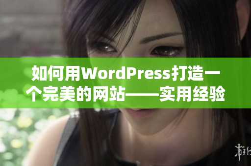 如何用WordPress打造一个完美的网站——实用经验分享