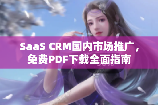 SaaS CRM国内市场推广，免费PDF下载全面指南