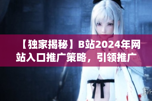 【独家揭秘】B站2024年网站入口推广策略，引领推广形势！(1)