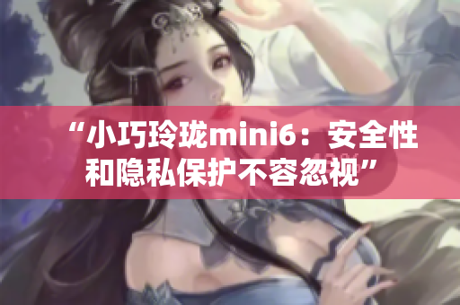 “小巧玲珑mini6：安全性和隐私保护不容忽视”