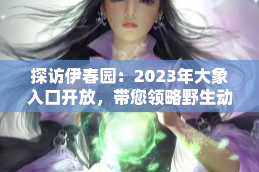 探访伊春园：2023年大象入口开放，带您领略野生动物的奇妙世界