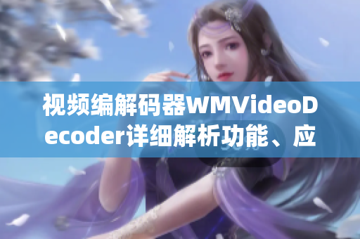 视频编解码器WMVideoDecoder详细解析功能、应用及性能对比(1)