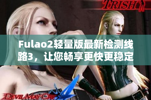 Fulao2轻量版最新检测线路3，让您畅享更快更稳定的上网体验