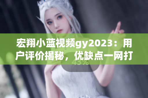 宏翔小蓝视频gy2023：用户评价揭秘，优缺点一网打尽