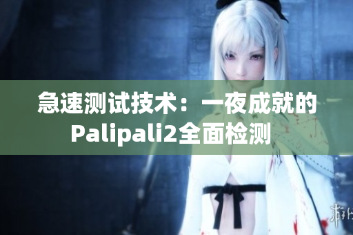 急速测试技术：一夜成就的Palipali2全面检测  