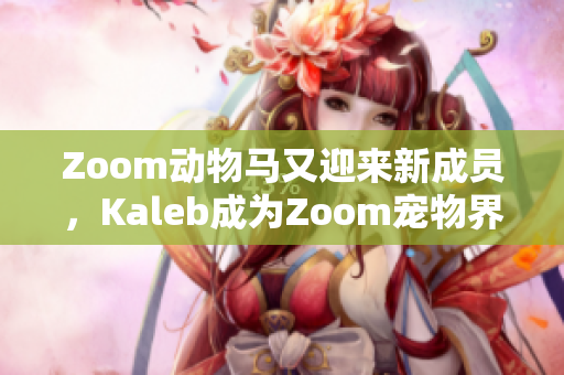 Zoom动物马又迎来新成员，Kaleb成为Zoom宠物界新宠！