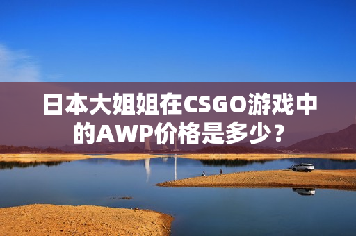 日本大姐姐在CSGO游戏中的AWP价格是多少？