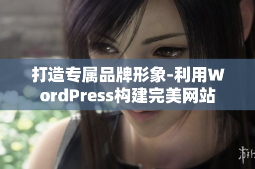 打造专属品牌形象-利用WordPress构建完美网站