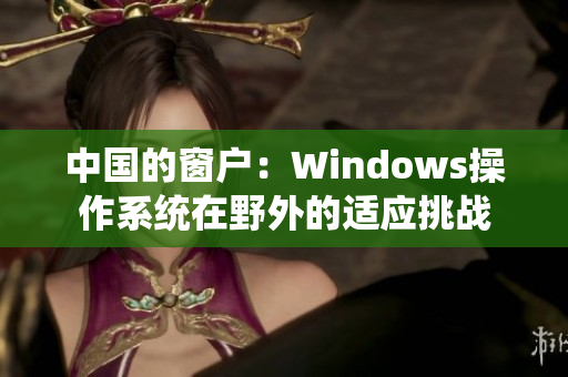 中国的窗户：Windows操作系统在野外的适应挑战