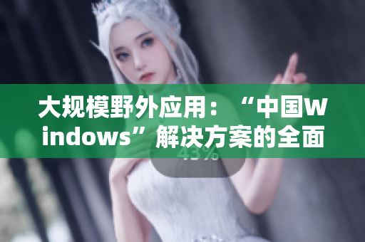 大规模野外应用：“中国Windows”解决方案的全面实践