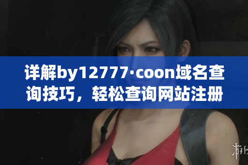 详解by12777·coon域名查询技巧，轻松查询网站注册者信息