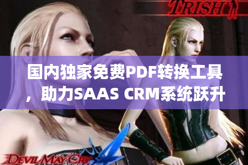 国内独家免费PDF转换工具，助力SAAS CRM系统跃升管理效率(1)