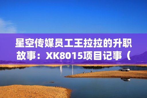 星空传媒员工王拉拉的升职故事：XK8015项目记事（一）(1)