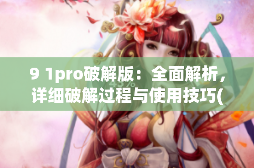 9 1pro破解版：全面解析，详细破解过程与使用技巧(1)